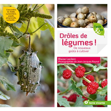 Drôles de légumes ! : de nouveaux goûts à cultiver