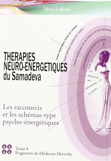 Therapies Neuro-Energetiques Tome 4 les Raccourcis et les Schemas-Type Psycho-Energetiques