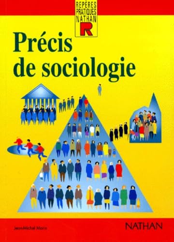 Couverture de Le précis de sociologie, numéro 43
