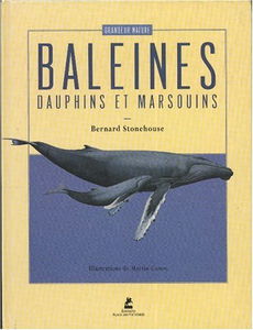 Les baleines, les dauphins et les marsouins