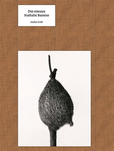 Couverture de Des oiseaux par Nathalie Baetens