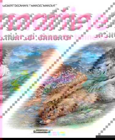 Qu'est-ce qu'un insecte ?