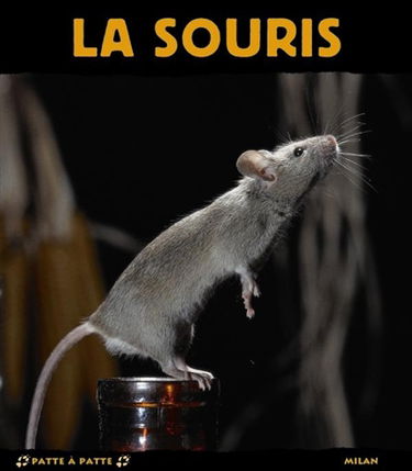 La souris