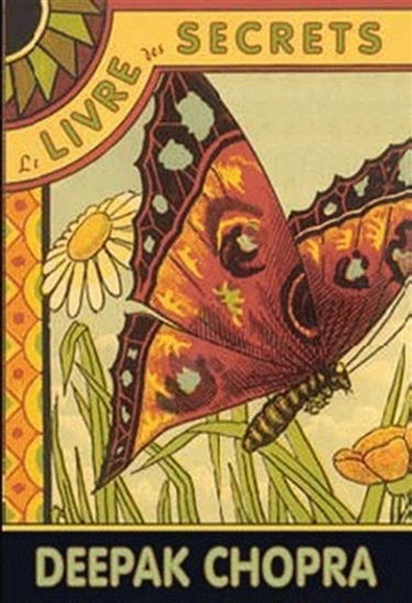 Le livre des secrets : dévoilez les dimensions cachées de votre vie