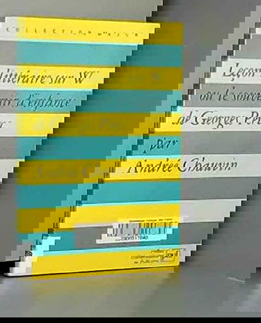 Leçon littéraire sur W ou Le souvenir d'enfance de Georges Perec