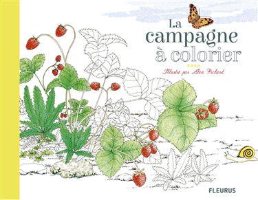 La campagne à colorier et à griffonner