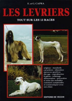 Les lévriers : tout sur les 13 races
