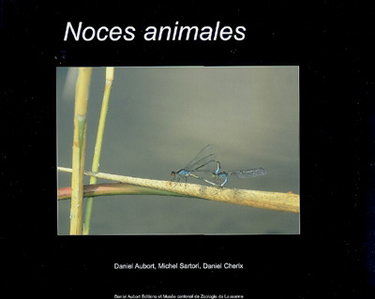 Couverture de Noces animales