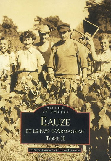 Eauze. Vol. 2. Et le pays d'Armagnac