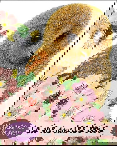 La vie dans les bois