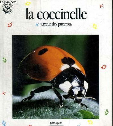 La Coccinelle, terreur des pucerons
