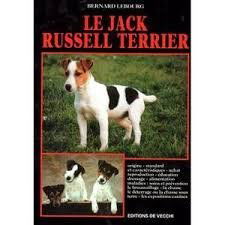 Le jack russell terrier