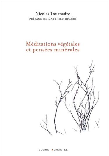 Méditations végétales et pensées minérales
