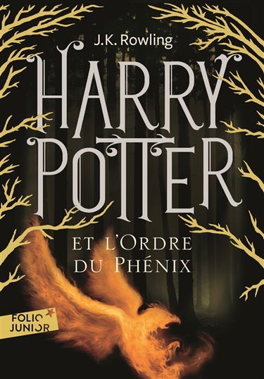Harry Potter. Vol. 5. Harry Potter et l'ordre du Phénix