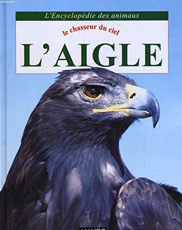 L'Aigle : le chasseur du ciel
