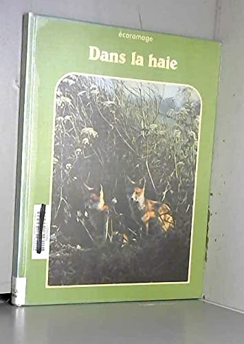 Dans la haie