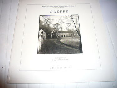 Greffe : Manifestation de sculpture, abbaye cistercienne de Fontaine-Guérard, Radepont, France, septembre 1992