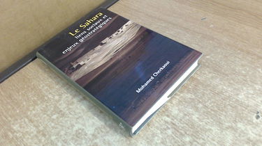 Le Sahara, Liens Sociaux et Enjeux Geostrategiques