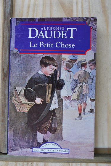 Le Petit Chose : histoire d'un enfant