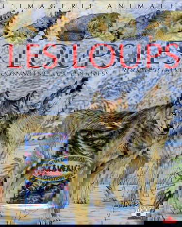 Les loups: Pour les faire connaître aux enfants