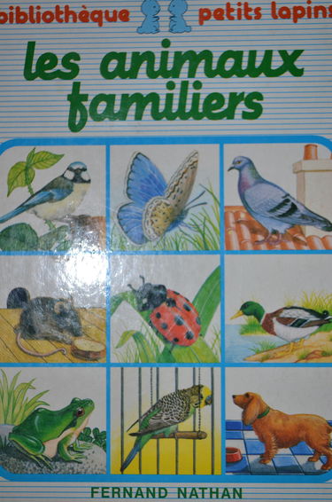 Animaux familiers ne