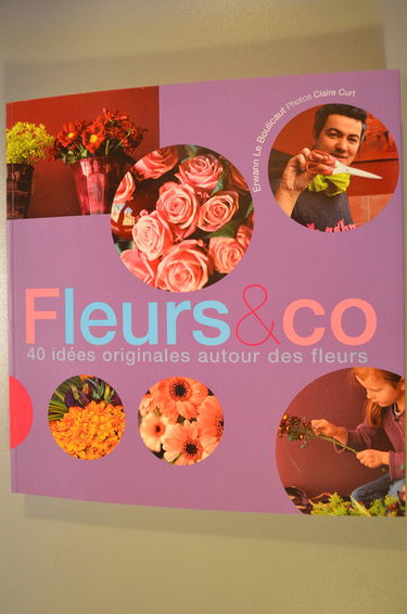 Fleurs & co : 40 idées originales autour des fleurs