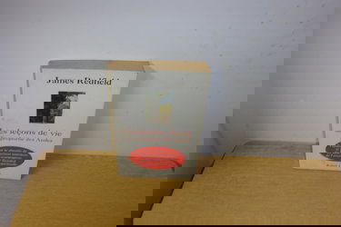 Les leçons de vie de la prophétie des Andes