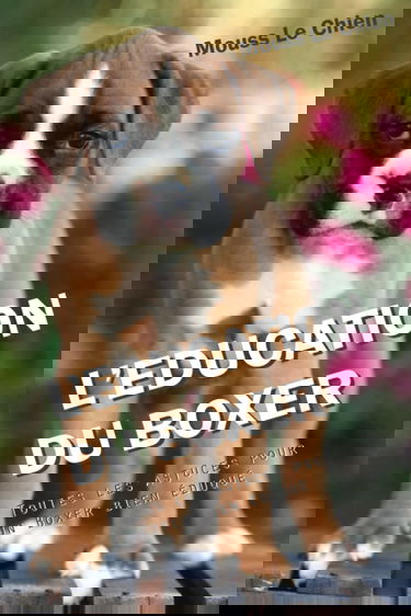 L'EDUCATION DU BOXER: Toutes les astuces pour un Boxer bien éduqué