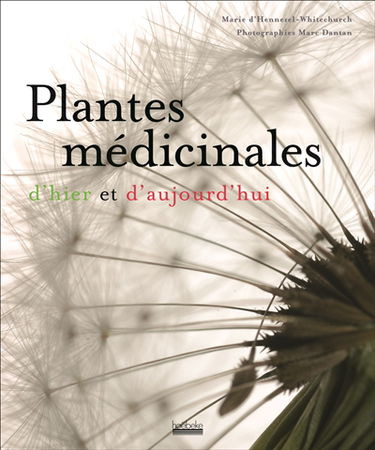 Plantes médicinales