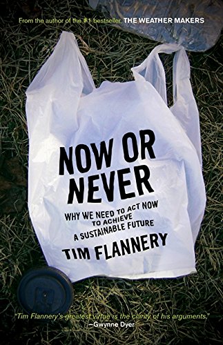 Couverture de Now Or Never