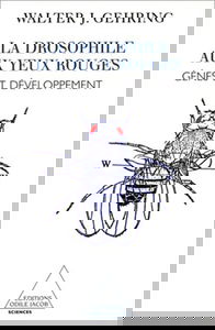 La drosophile aux yeux rouges : gènes et développement
