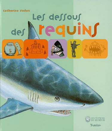 Les dessous des requins