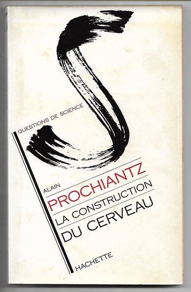 La Construction du cerveau