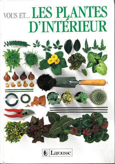 Vous et les plantes d'intérieur