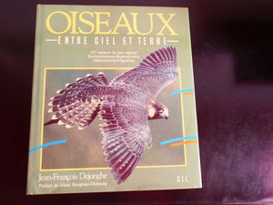 LES OISEAUX ENTRE CIEL ET TERRE