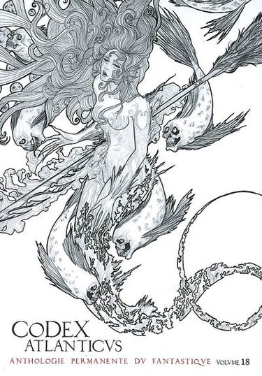 Codex atlanticus (Le), n° 18