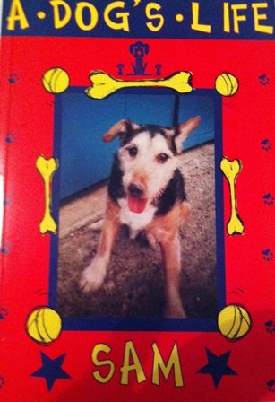 Couverture de Sam: A Dog's Life