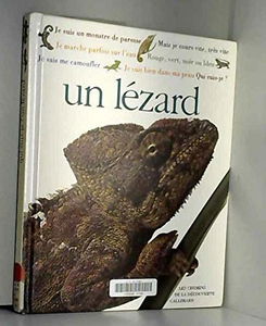 Qui suis-je ? Un lézard