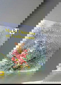 Maud Détective et l'enlèvement