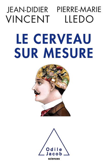 Le cerveau sur mesure