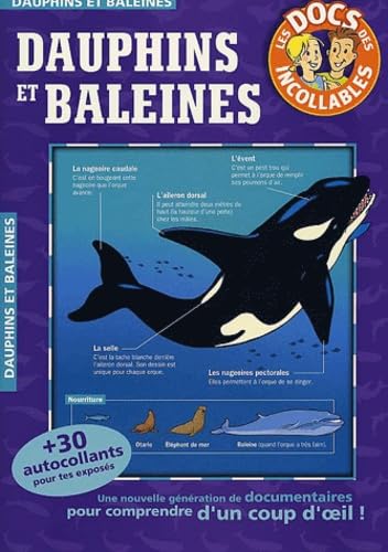 Les dauphins et baleines