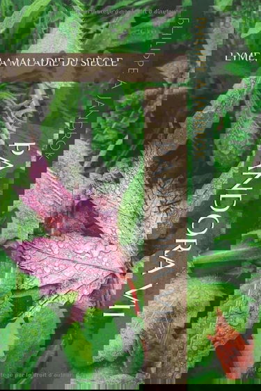 LYME, LA MALADIE DU SIÈCLE: Enquête et Conférences 2019