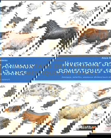 Inventaire des animaux domestiques en France : bestiaux, volailles, animaux domestiques de rapport