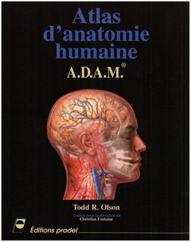 Atlas d'anatomie humaine ADAM