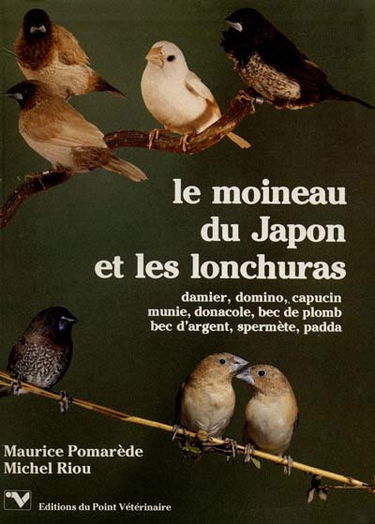 Le Moineau du Japon et les lonchuras : damier, domino, capucin, munie, donacole, bec de plomb, bec d'argent spermète, padda
