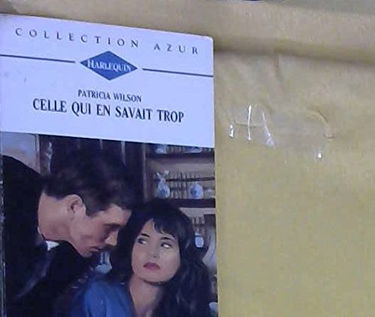 Celle qui en savait trop (Collection Azur)