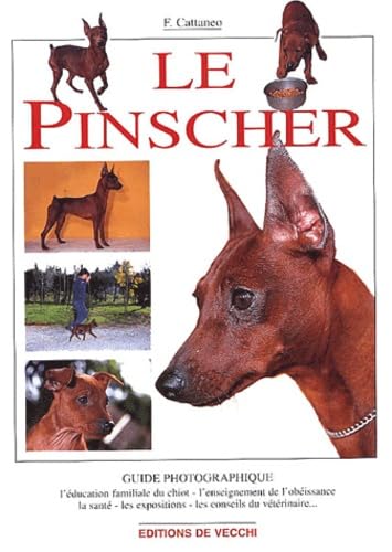 Le Pinscher