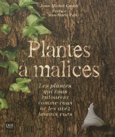 Plantes à malices : les plantes qui vous entourent comme vous ne les avez jamais vues