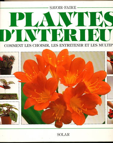 Plantes d'intérieur : comment les choisir, les entretenir