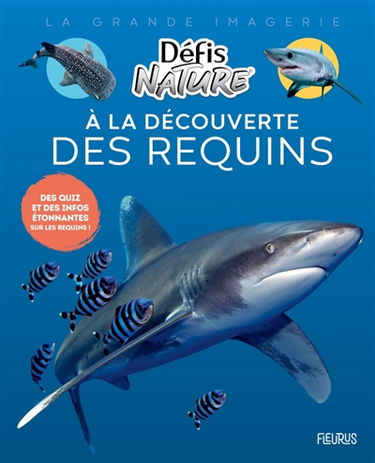 A la découverte des requins : des quiz et des infos étonnantes sur les requins !